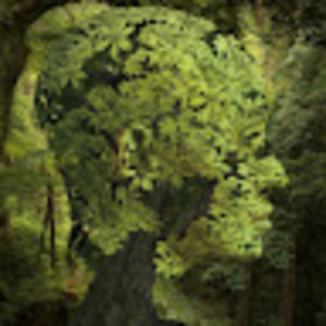 Meet your Posher, Earth